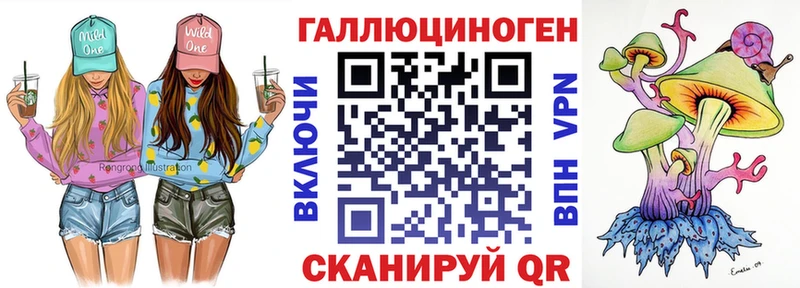 Псилоцибиновые грибы Psilocybine cubensis  Аксай 